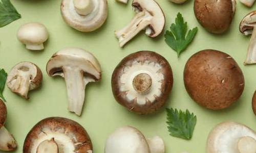 Najsmaczniejsze dania z wykorzystaniem grzybów